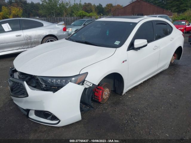 19UUB2F60KA006950 Acura Tlx Tech & A-spec Pkgs