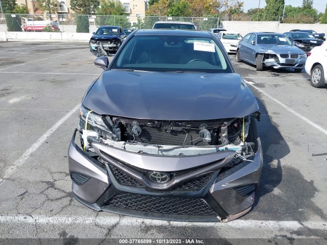 Toyota Camry Le/se/xle/l 2019 4T1B11HK3KU165484 Image 13