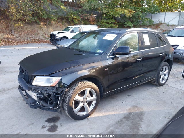 WA1M2AFP1HA081564 Audi Q5 Premium Plus