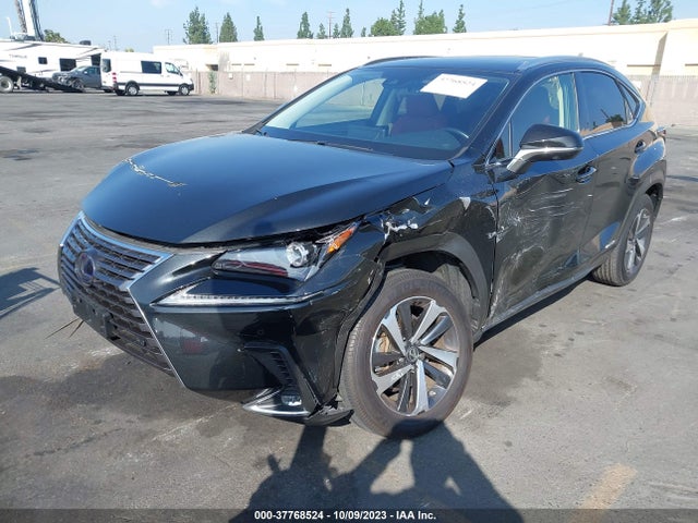 JTJGJRDZ6L2144117 Lexus Nx Nx 300h
