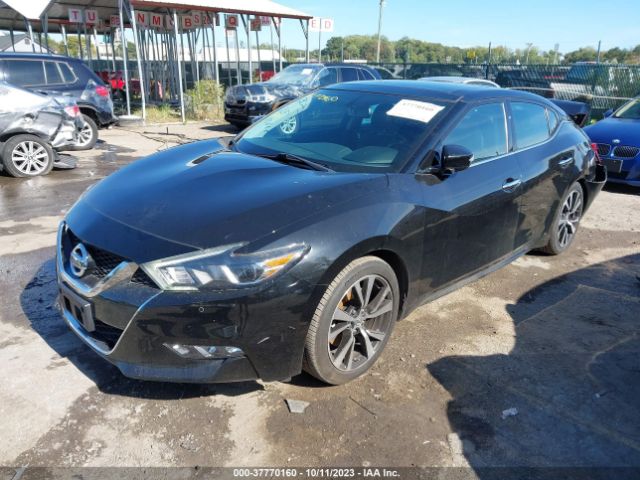 1N4AA6AP3JC381610 Nissan MAXIMA SL