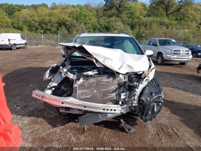 5FNYF6H29MB030597 Honda Pilot Special Edition