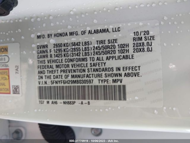 5FNYF6H29MB030597 Honda Pilot Special Edition