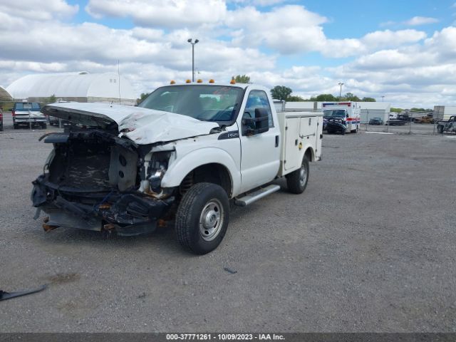 2011 FORD SUPER DUTY F-250 1FTBF2B69BEA69036 Photo 1