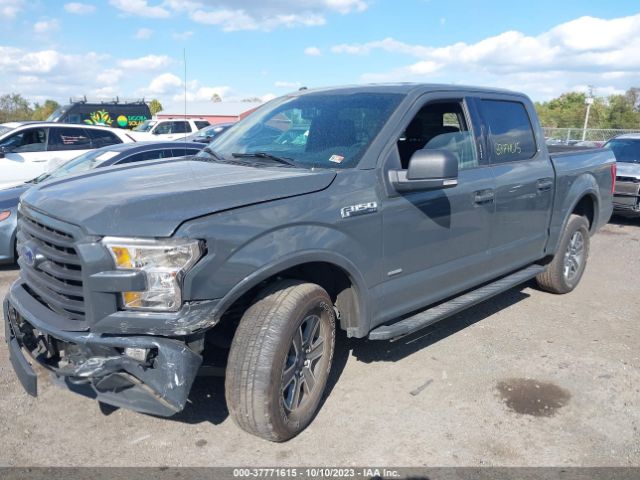 1FTEW1EG9GFD32915 Ford F-150 Xlt/xl/lariat/platinum