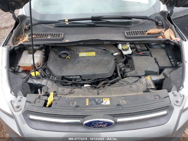 Ford ESCAPE SE 2014 1FMCU0GX4EUB83239 Image 10
