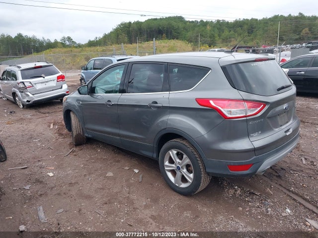 Ford ESCAPE SE 2014 1FMCU0GX4EUB83239 Image 3