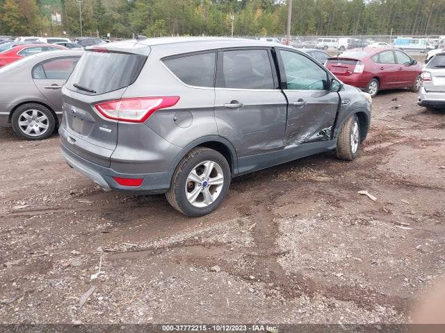 Ford ESCAPE SE 2014 1FMCU0GX4EUB83239 Image 4