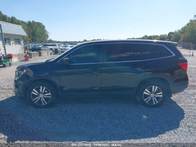 5FNYF6H80GB128426 Honda Pilot Ex-l