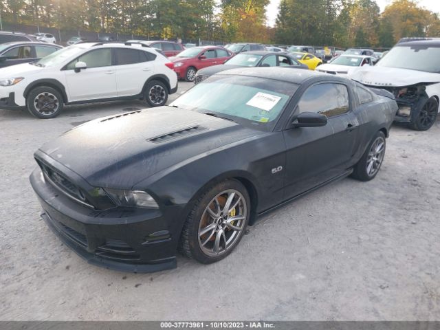2013 FORD MUSTANG 1ZVBP8CF8D5280789 Photo 1