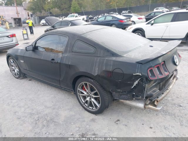 2013 FORD MUSTANG 1ZVBP8CF8D5280789 Photo 2