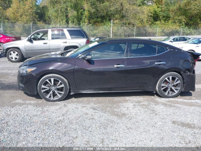 1N4AA6AP6HC411967 Nissan MAXIMA SL