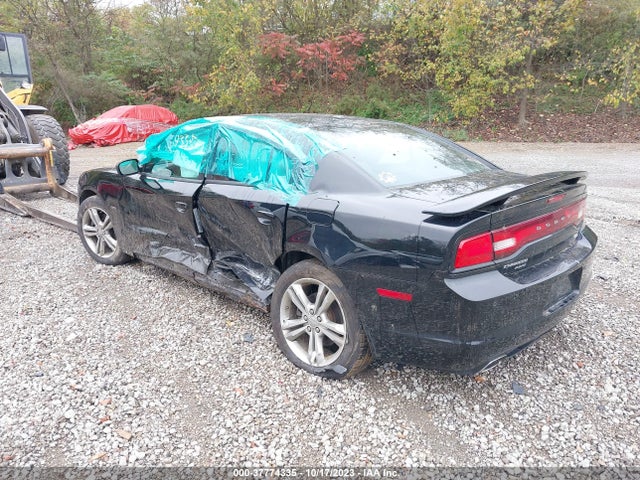 Dodge Charger Rt Max 2014 2C3CDXDT8EH329731 Image 3
