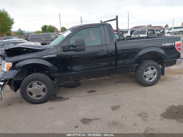 2011 FORD F-150 XLT VIN: 1FTMF1EM2BFC97984