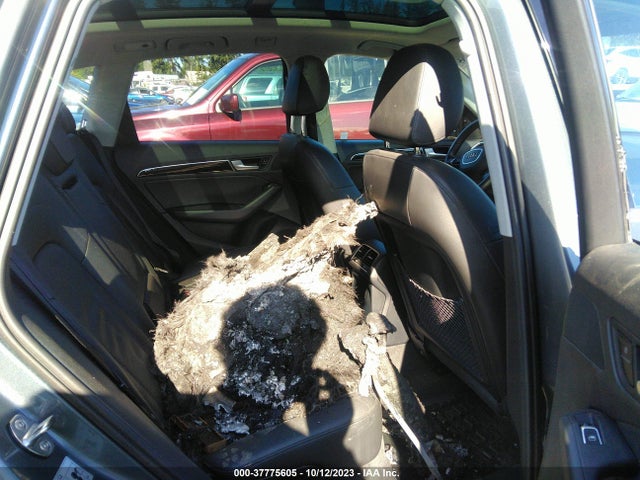 WA1LFAFP5EA068490 Audi Q5 Premium Plus