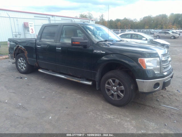 2013 FORD F-150 1FTFW1EF1DFD14786 Photo 0