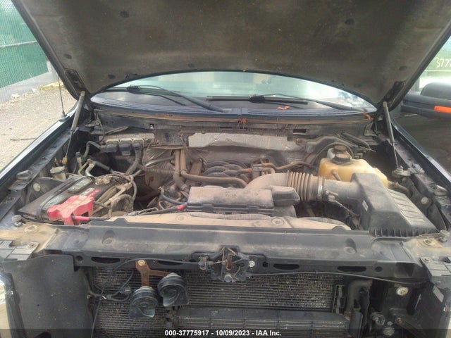 2013 FORD F-150 1FTFW1EF1DFD14786 Photo 9
