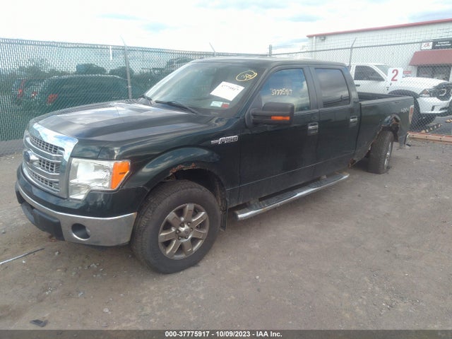 2013 FORD F-150 1FTFW1EF1DFD14786 Photo 1