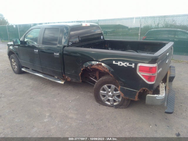 2013 FORD F-150 1FTFW1EF1DFD14786 Photo 2