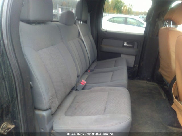 2013 FORD F-150 1FTFW1EF1DFD14786 Photo 7