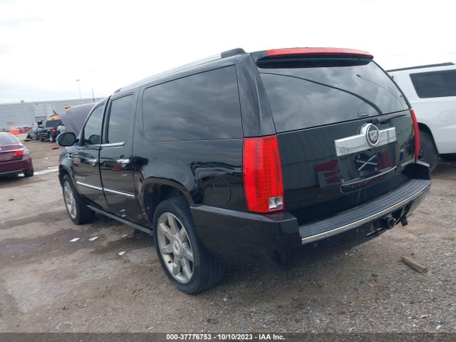 2008 CADILLAC ESCALADE ESV STANDARD VIN: 1GYFK668X8R238489