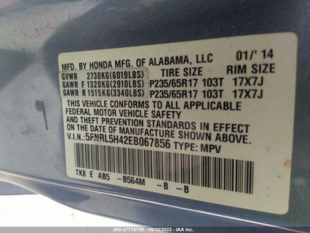 5FNRL5H42EB067856 Honda ODYSSEY EX