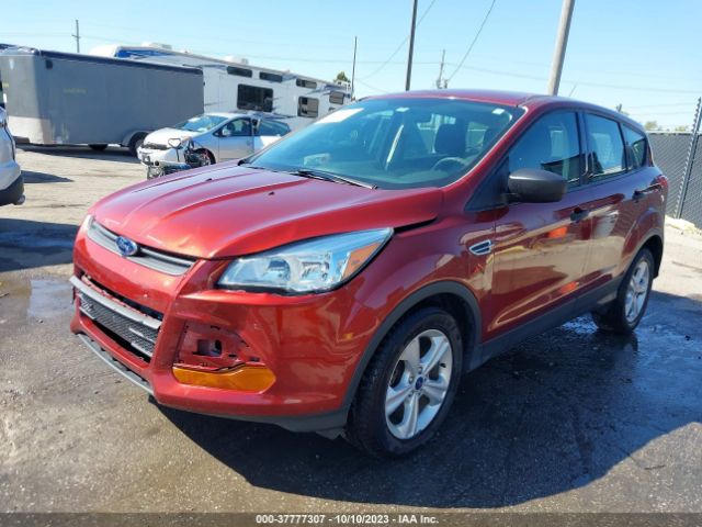 1FMCU0F76EUE52441 Ford ESCAPE S