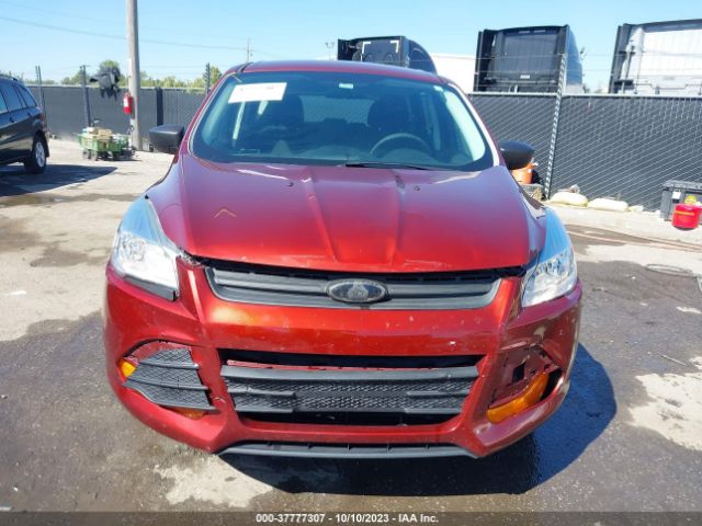 1FMCU0F76EUE52441 Ford ESCAPE S