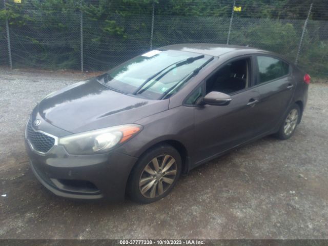 2014 KIA FORTE KNAFX4A69E5165181 Photo 1