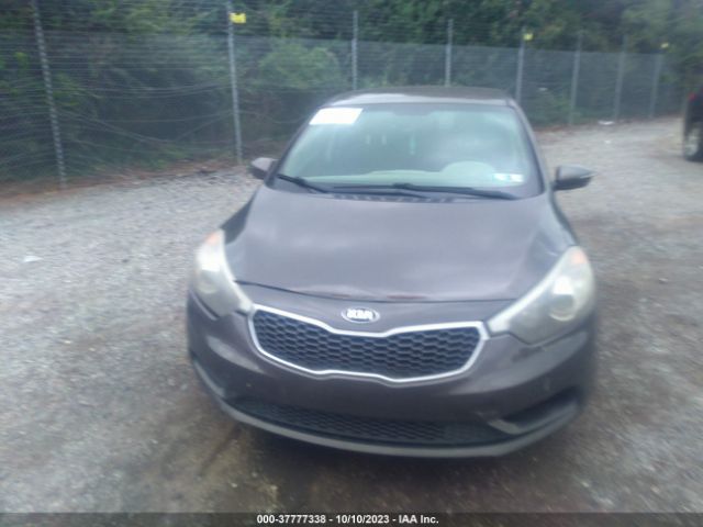 2014 KIA FORTE KNAFX4A69E5165181 Photo 5