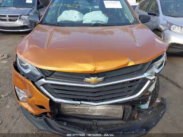 Chevrolet EQUINOX LS 2018 2GNAXHEV4J6112710 Image 10