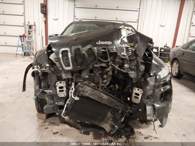 2014 JEEP CHEROKEE LIMITED VIN: 1C4PJMDS4EW215304