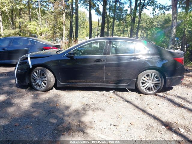19UUB2F50FA005116 Acura Tlx V6 Tech