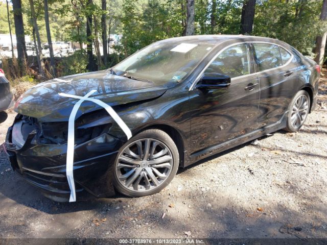 19UUB2F50FA005116 Acura Tlx V6 Tech
