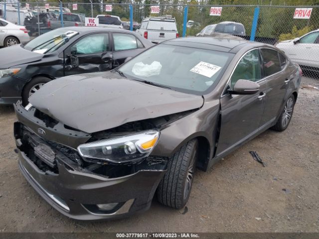 KNALN4D75E5125418 KIA Cadenza Premium