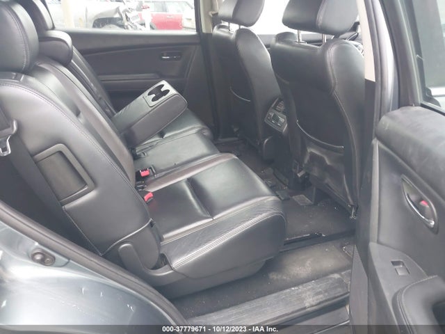 2010 MAZDA CX-9 TOURING VIN: JM3TB2MV1A0219051