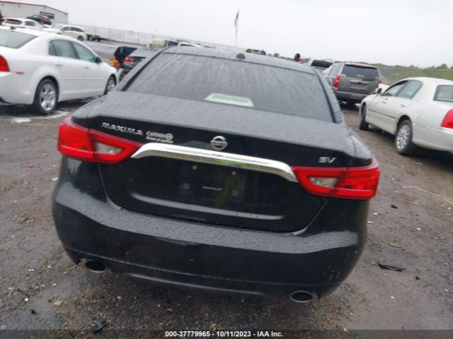 1N4AA6APXGC447398 Nissan Maxima 3.5 Sv
