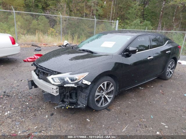 1N4AA6APXGC447398 Nissan Maxima 3.5 Sv