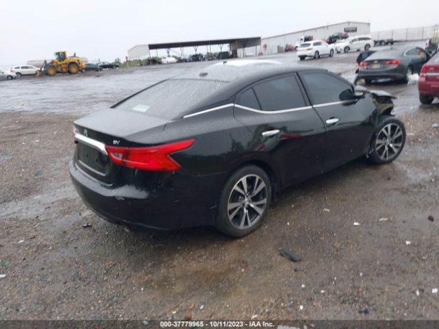 1N4AA6APXGC447398 Nissan Maxima 3.5 Sv