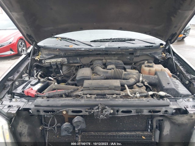 2010 FORD F-150 XL/XLT VIN: 1FTFW1CV1AFA44660