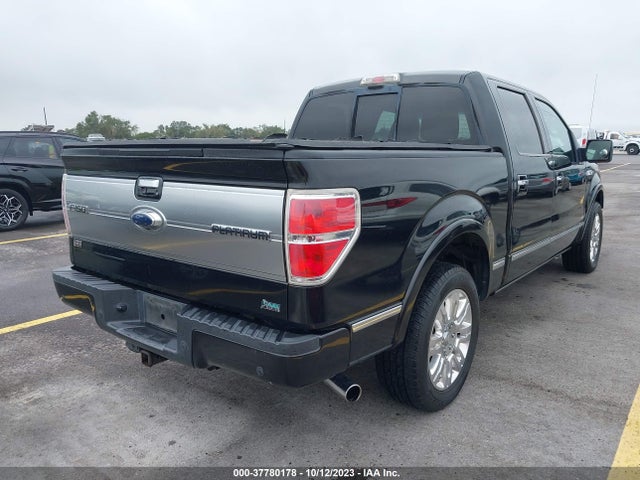 2010 FORD F-150 XL/XLT VIN: 1FTFW1CV1AFA44660