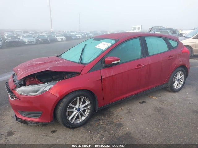 Ford FOCUS SE 2015 1FADP3K25FL294814 Image 2