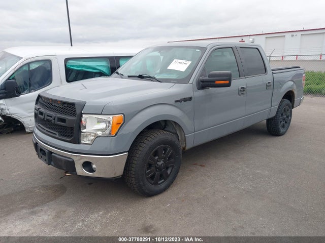 2011 FORD F-150 XLT VIN: 1FTFW1EF0BFD24562