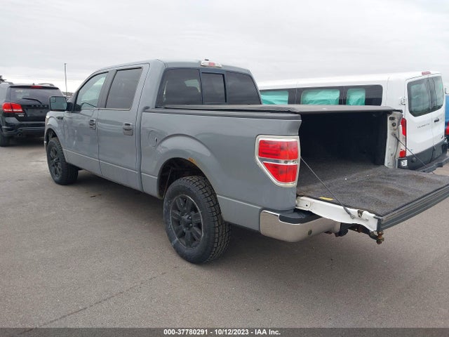 2011 FORD F-150 XLT VIN: 1FTFW1EF0BFD24562