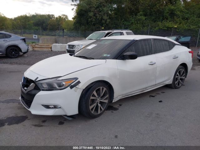 1N4AA6AP7GC409515 Nissan Maxima 3.5 S