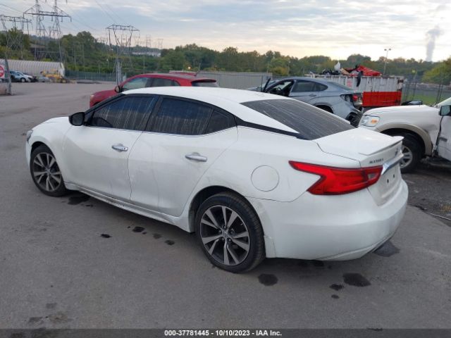 1N4AA6AP7GC409515 Nissan Maxima 3.5 S