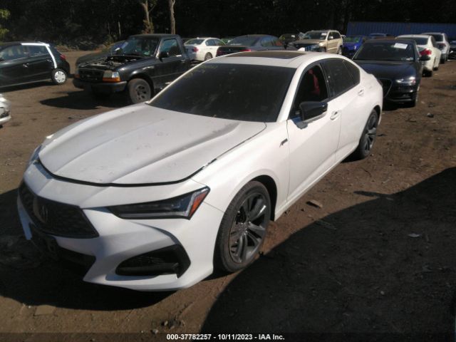 19UUB6F53NA000403 Acura Tlx A-spec Package
