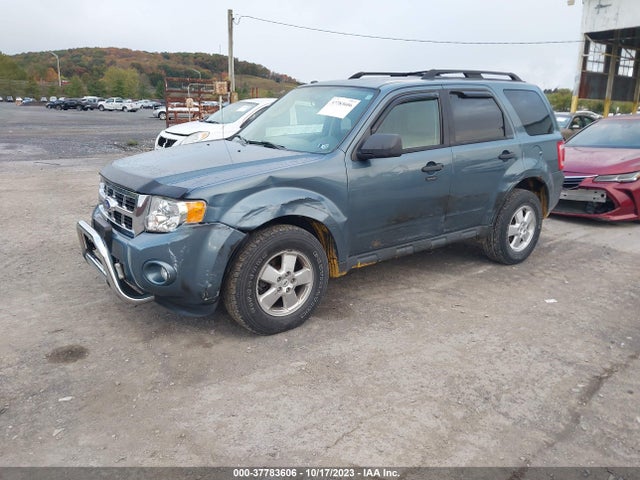 2011 FORD ESCAPE XLT VIN: 1FMCU9DG6BKC16533