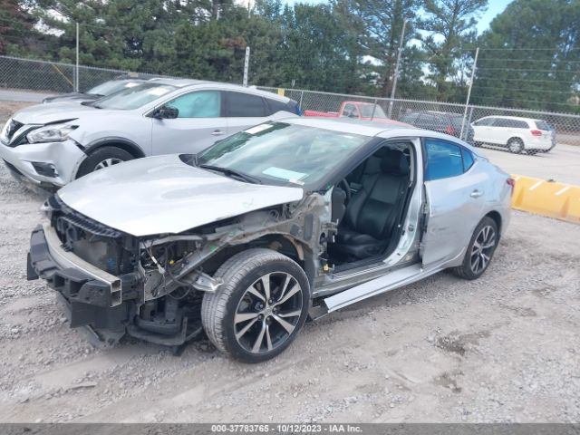 1N4AA6AP3GC392695 Nissan Maxima 3.5 Sv