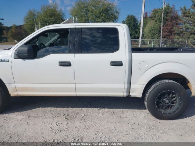 1FTEW1C81GFA16324 Ford F-150 Xlt/xl
